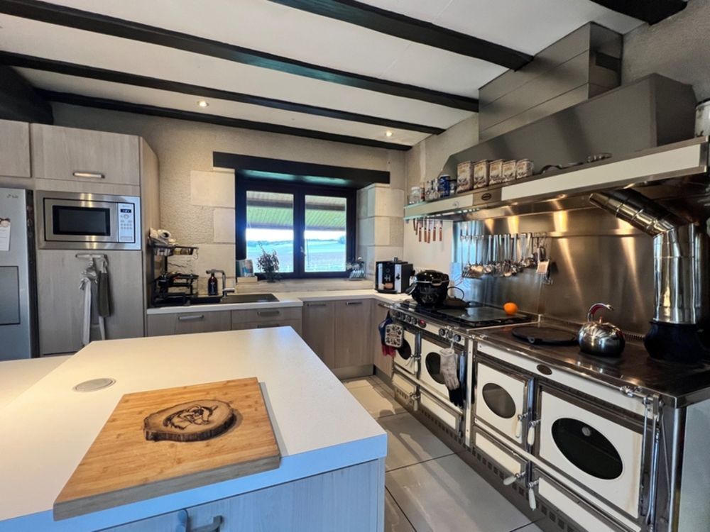 � vendre  Propri�t�/ch�teau Mondion (86230)