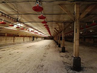  Maison � vendre 2 pi�ces 