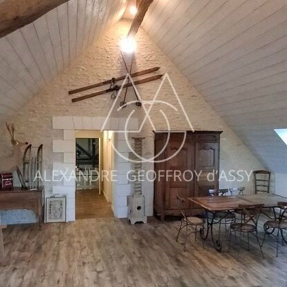 � vendre  Propri�t�/ch�teau Chenonceaux (37150)