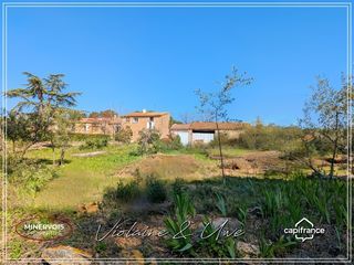  Maison � vendre 15 + pi�ces 446 m�