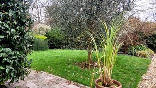  Maison � vendre 2 pi�ces 49 m�