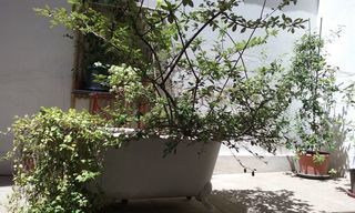  Appartement � louer 1 pi�ce 28 m�