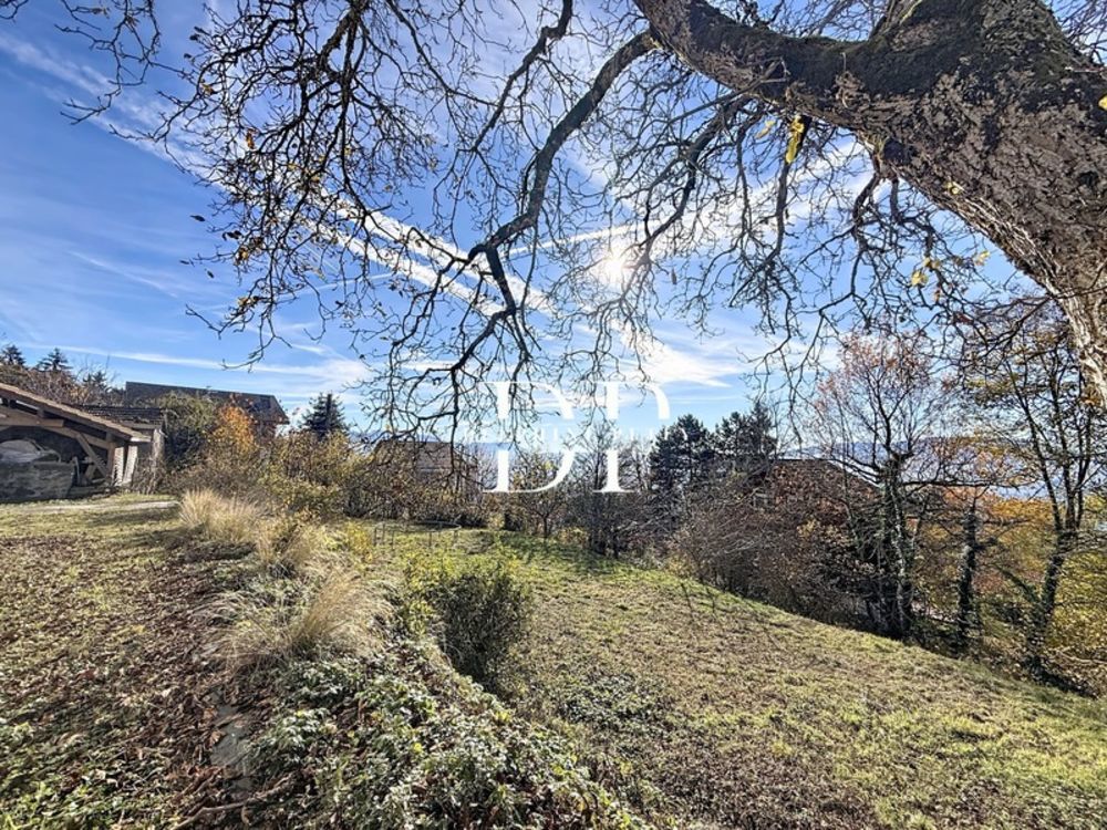 � vendre  Maison Lucinges (74380)