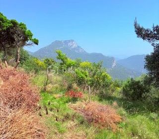  Terrain � vendre 1562 m�