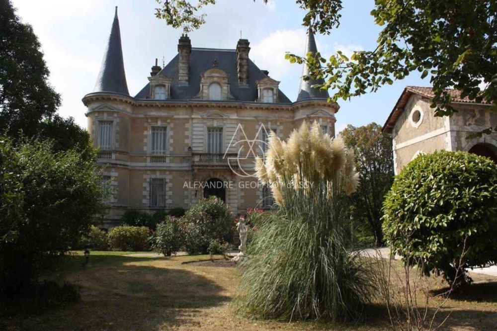 � vendre  Propri�t�/ch�teau Habas (40290)