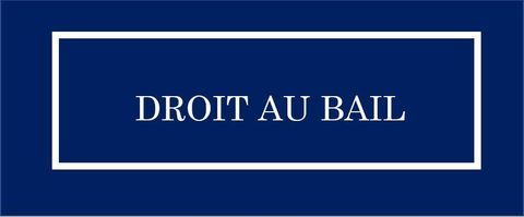 DROIT AU BAIL - LOCAL - CHAMONIX MONT-BLANC - 54 m&sup2; environ sur 2 niveaux 55000 74400 Chamonix mont blanc