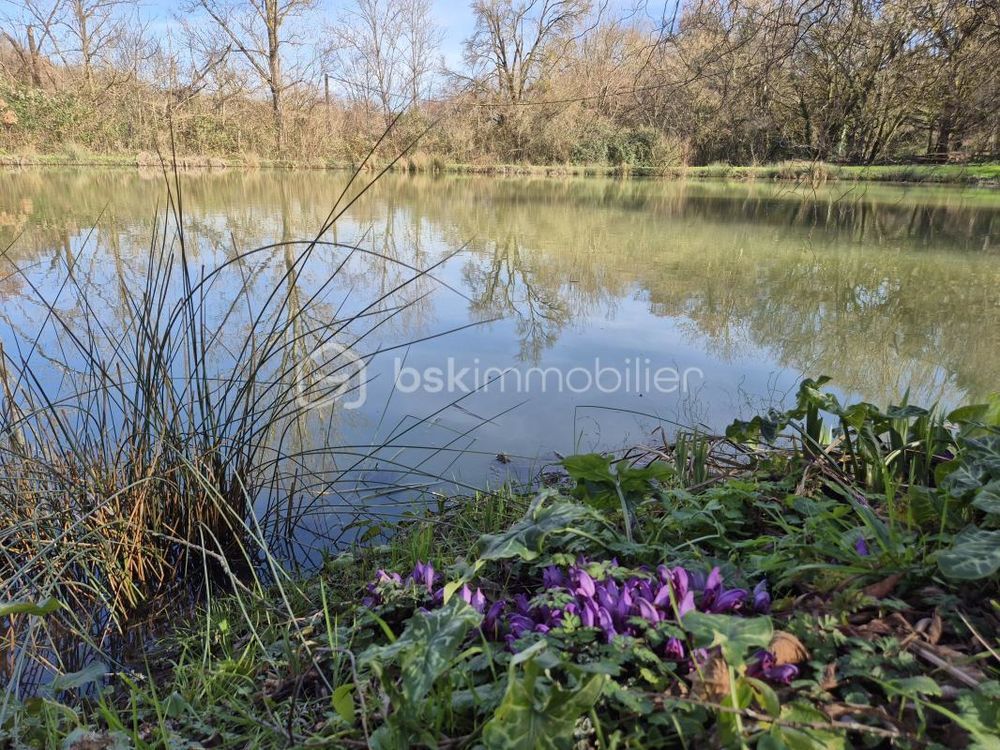 � vendre  Propri�t�/ch�teau Saint-Clar (32380)