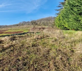  Terrain � vendre 795 m�