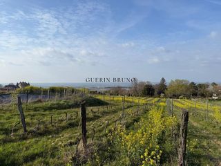  Propri�t�/ch�teau � vendre 110 m�