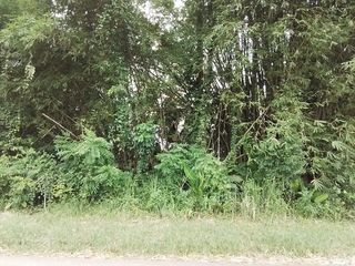  Terrain � vendre 4262 m�