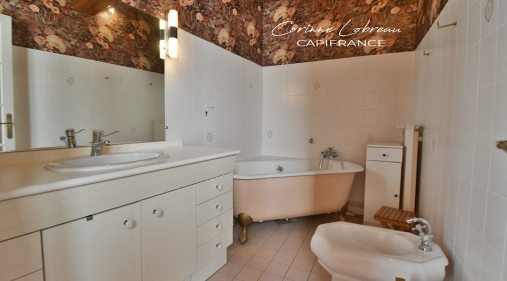 � vendre  Propri�t�/ch�teau La Roche-Vineuse (71960)