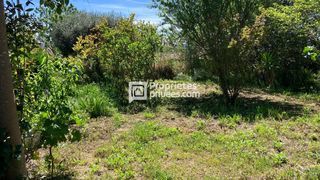  Maison � vendre 8 pi�ces 255 m�