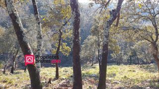  Terrain � vendre 3000 m�