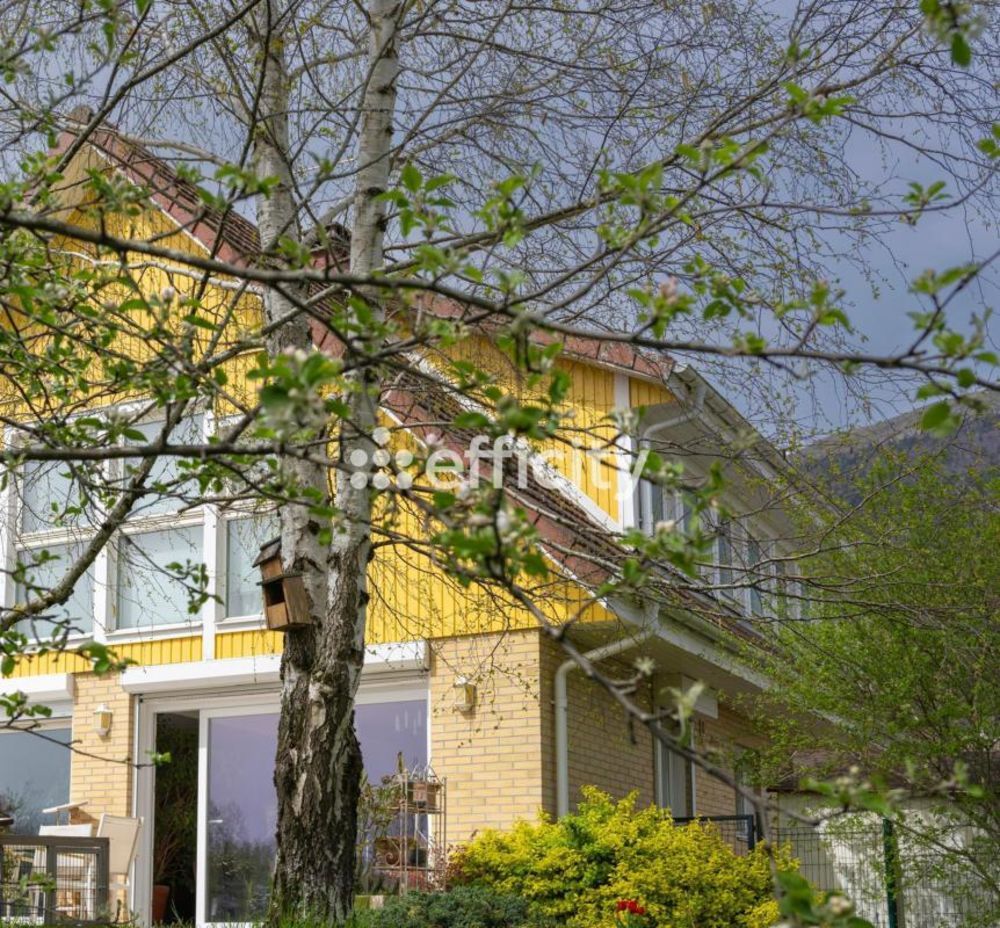 � vendre  Maison �chenevex (01170)