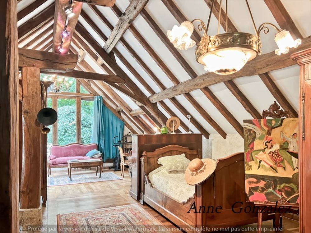 � vendre  Propri�t�/ch�teau Orl�ans (45000)