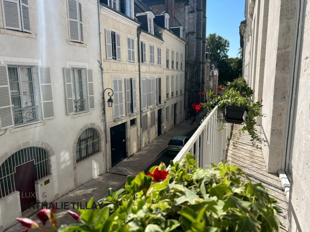 � vendre  Appartement Orl�ans (45000)