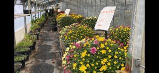  Maison � vendre 7 pi�ces 160 m�