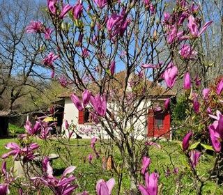  Maison � vendre 3 pi�ces 90 m�