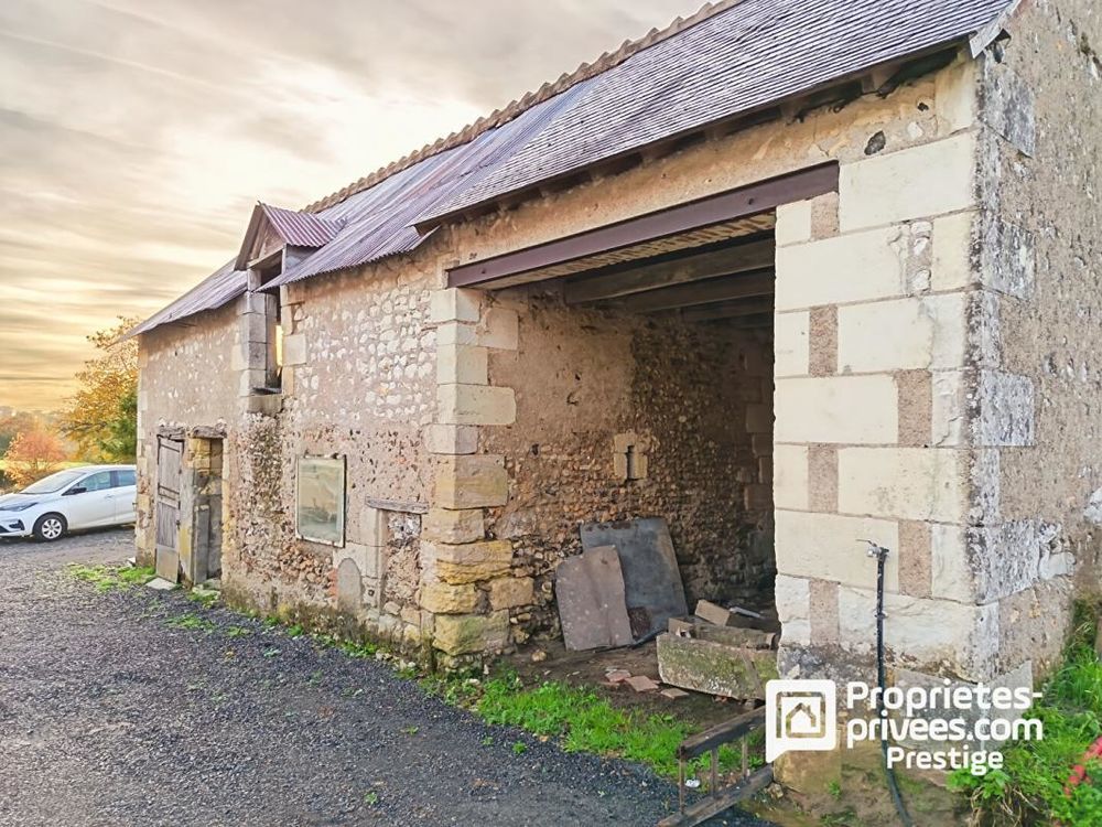 � vendre  Propri�t�/ch�teau Vernou-sur-Brenne (37210)