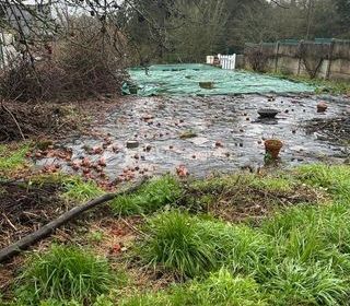  Terrain � vendre 303 m�