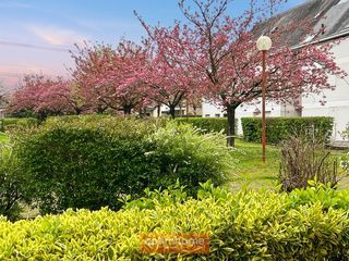  Appartement � vendre 3 pi�ces 60 m�