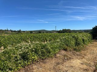  Maison � vendre 6 pi�ces 180 m�