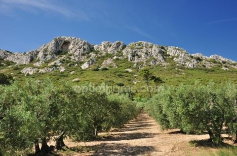 Local commercial / bail à ceder à SAINT REMY DE PROVENCE 147000 13210 Saint remy de provence