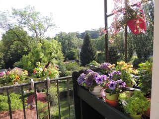  Appartement � louer 1 pi�ce 15 m�