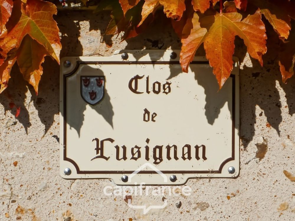 � vendre  Propri�t�/ch�teau Troo (41800)