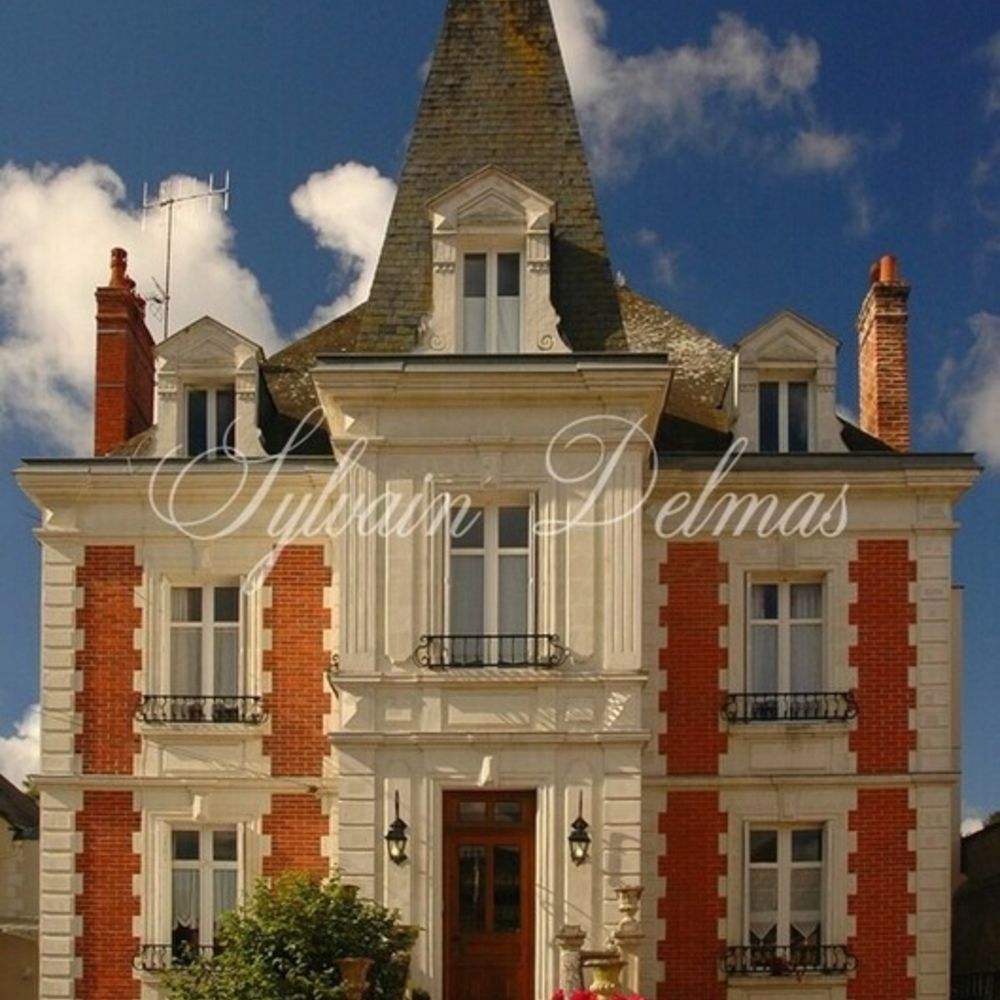 � vendre  Propri�t�/ch�teau Amboise (37400)