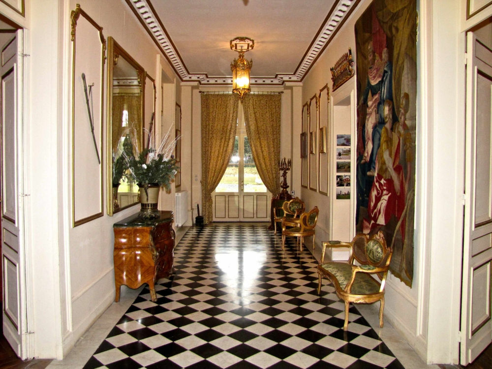 � vendre  Propri�t�/ch�teau Tournon-Saint-Pierre (37290)