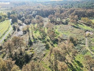  Terrain � vendre 31811 m�