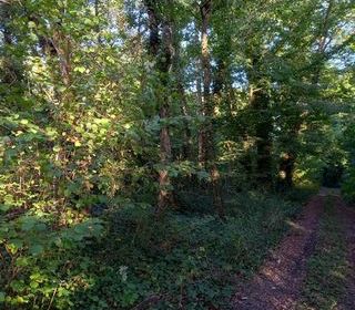  Terrain � vendre 2820 m�