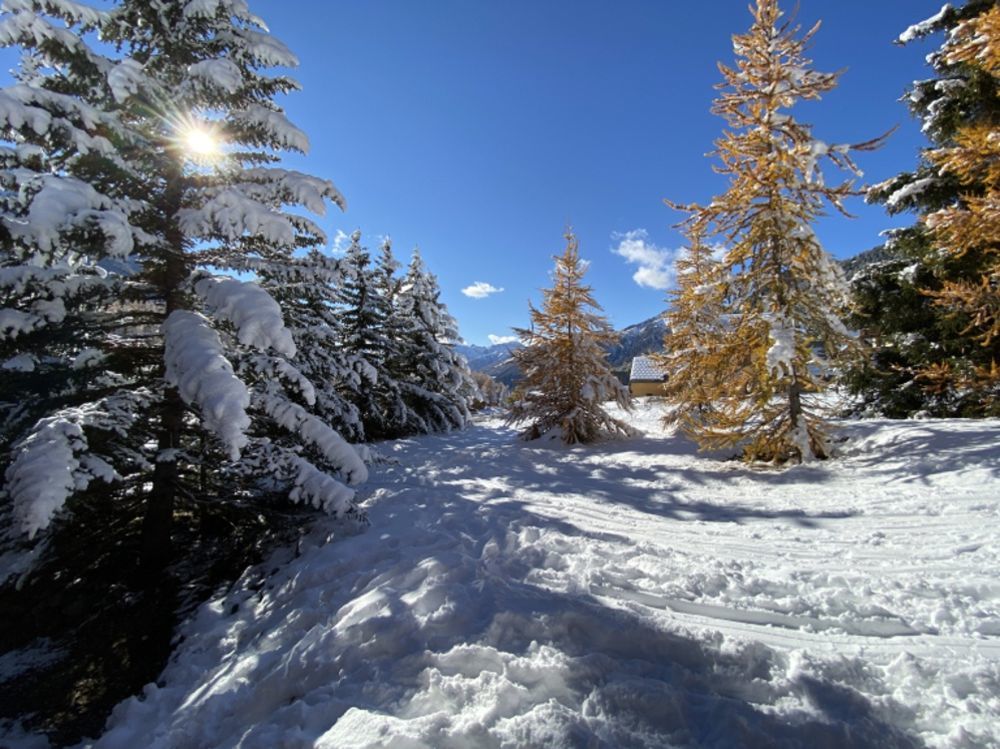 � vendre  Villa Montgen�vre (05100)