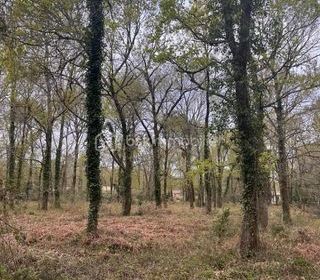  Terrain � vendre 2700 m�