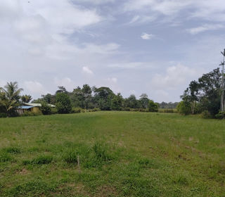  Terrain � vendre 5511 m�