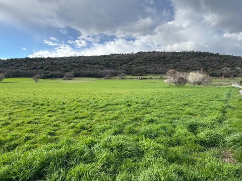 &Agrave; vendre ou &agrave; louer � Bureaux m&eacute;dicaux dans future maison de sant&eacute; pluridisciplinaire Le Domaine des Sages � Le Brusquet (04420) 103129 04420 Le brusquet