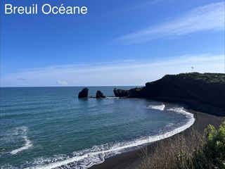  Appartement � vendre 2 pi�ces 31 m�