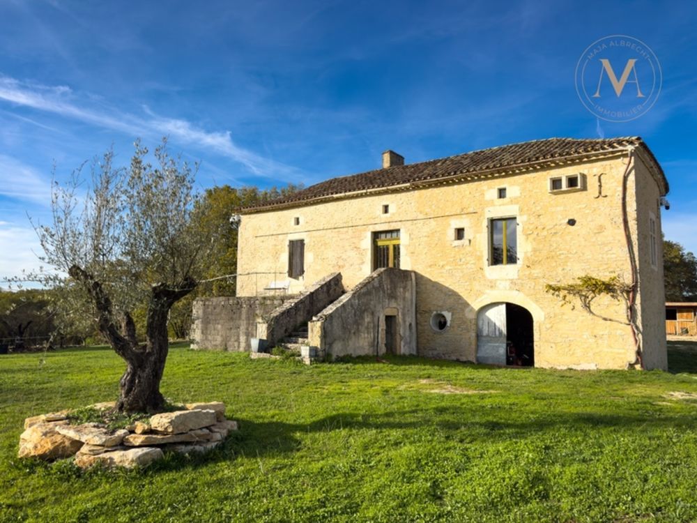 � vendre  Propri�t�/ch�teau Th�zac (47370)