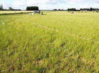  Terrain � vendre 1148 m�