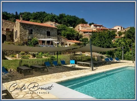   Ensemble immobilier d'exception � vendre � TAULIS (66) Propri�t�/ch�teau - 14 pi�ce(s) - 345 m�