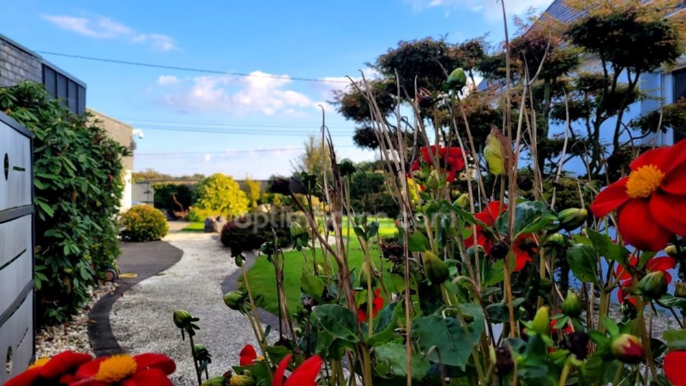 � vendre  Maison Ploeren (56880)