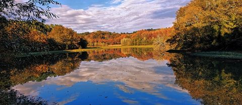  Propri�t�/ch�teau � vendre 6 pi�ces 174 m�