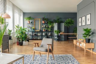  Appartement � vendre 4 pi�ces 95 m�