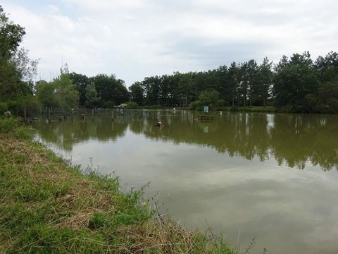   Propri�t� equestre  7 pi�ce(s) Propri�t�/ch�teau - 7 pi�ce(s) - 110 m�