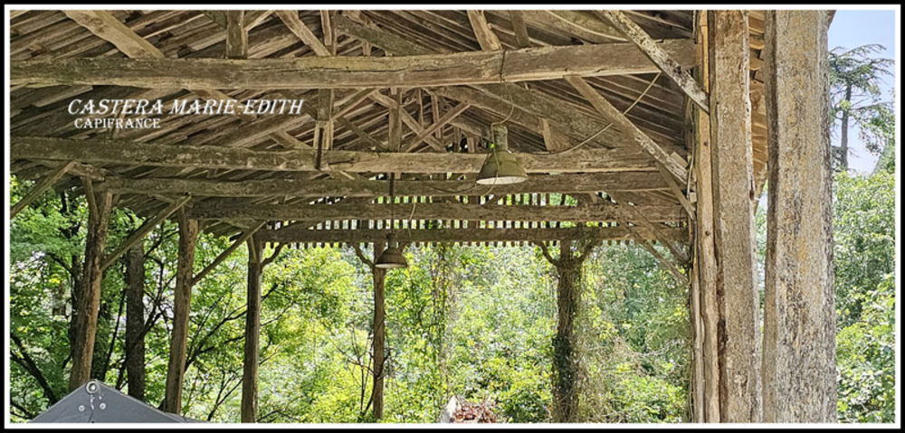 � vendre  Propri�t�/ch�teau Auch (32000)