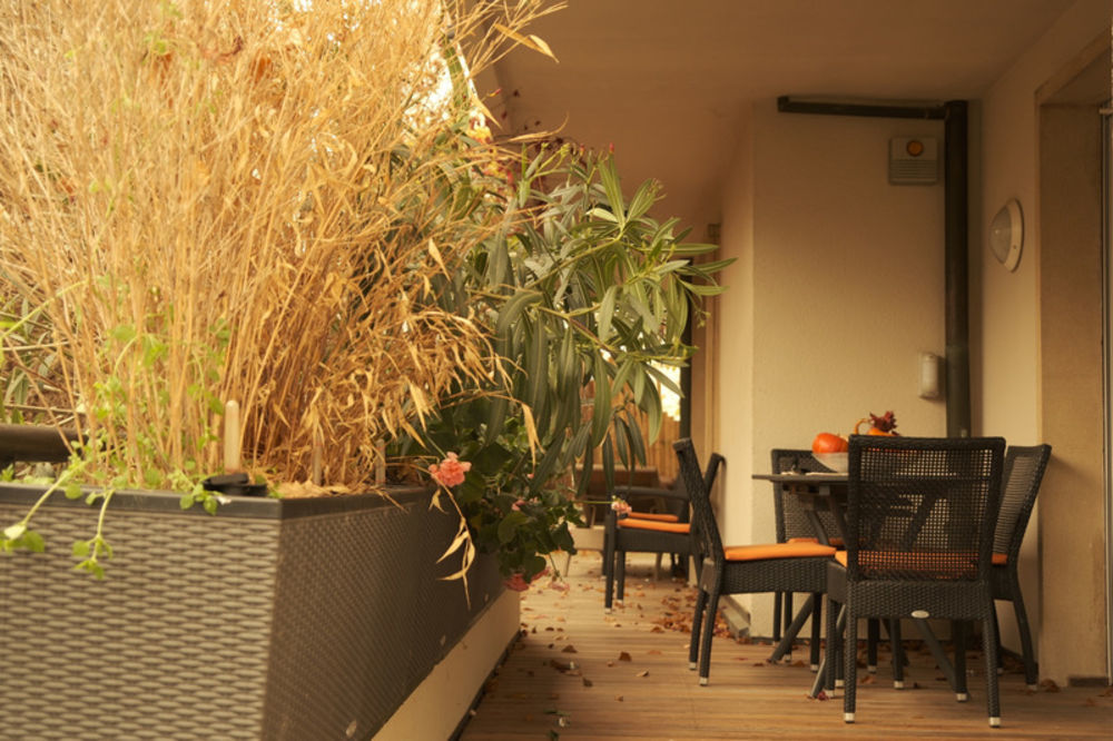 � vendre  Appartement Strasbourg (67000)