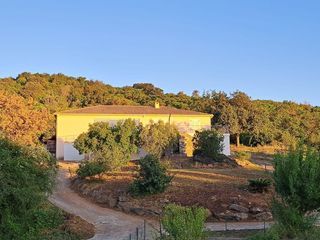  Maison � vendre 7 pi�ces 170 m�