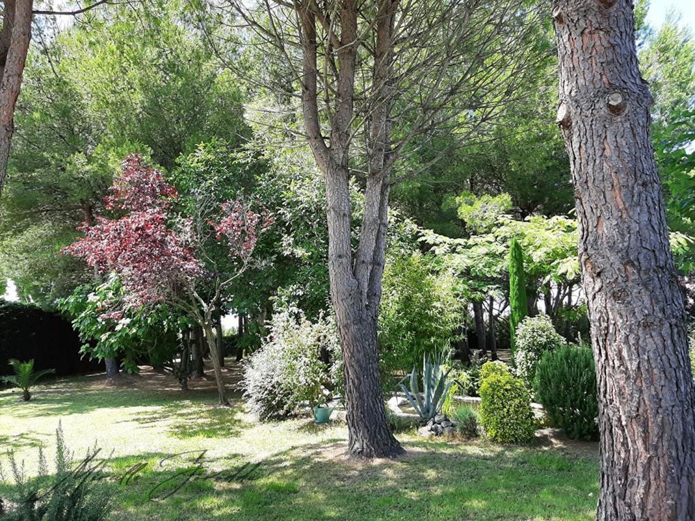� vendre  Maison Saint-R�my-de-Provence (13210)