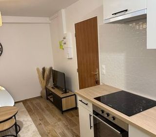  Appartement � louer 1 pi�ce 25 m�